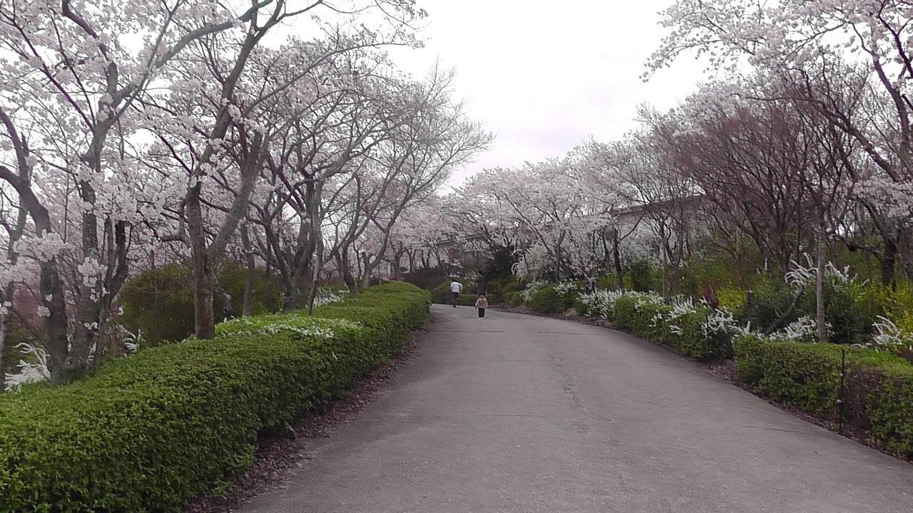 Nikkoen Hotel Nishiwaki Bagian luar foto