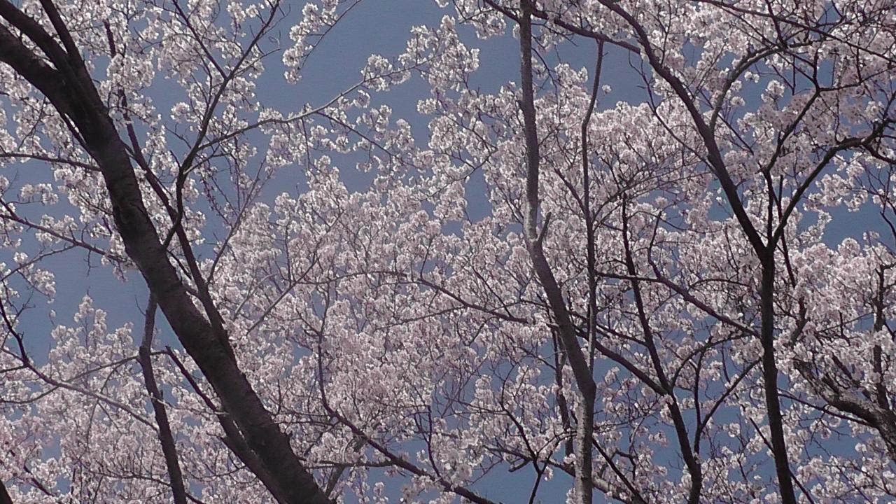 Nikkoen Hotel Nishiwaki Bagian luar foto